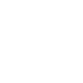 Location VIP Car